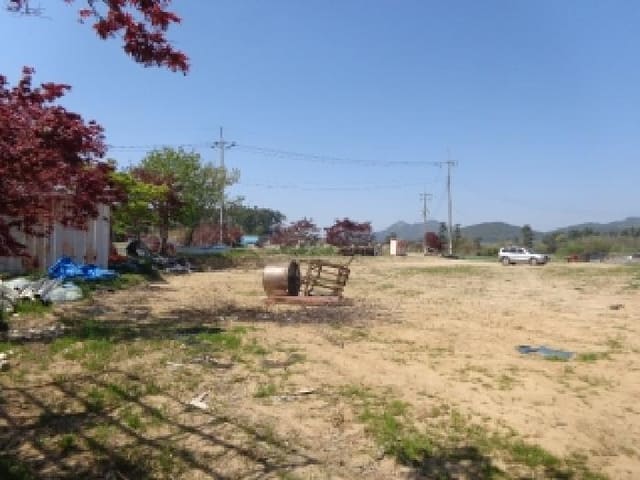 B000285202501300006254.jpg