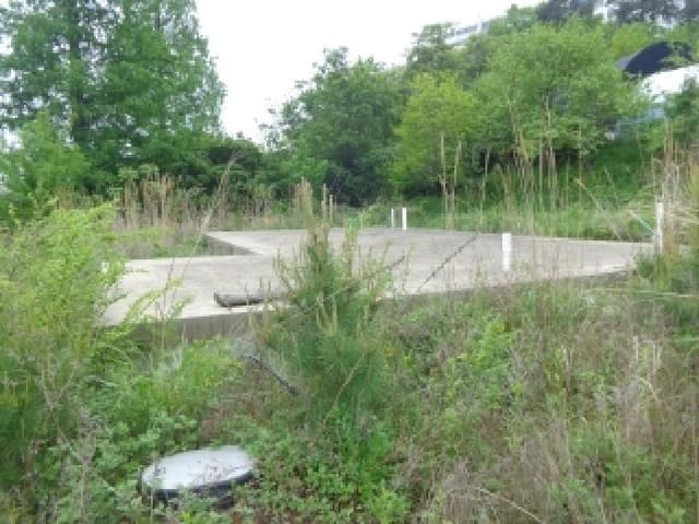 B000285202501300006281.jpg