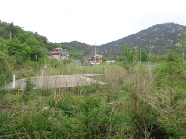 B000285202501300006284.jpg