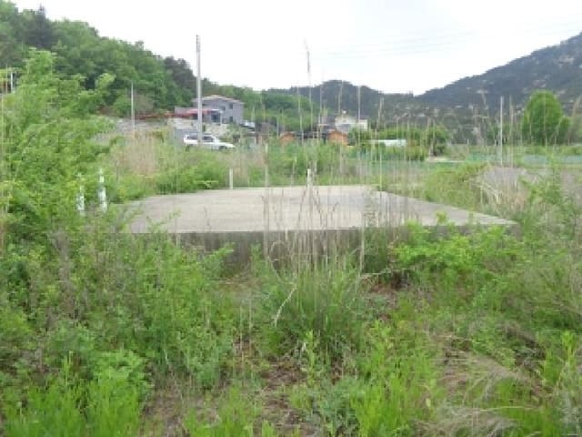 B000285202501300006282.jpg