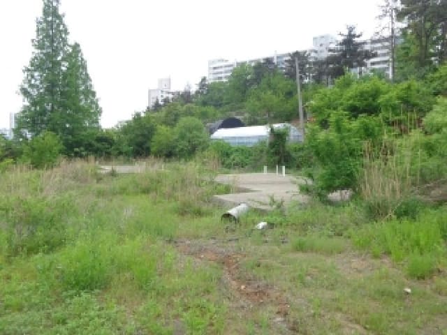 B000285202501300006283.jpg