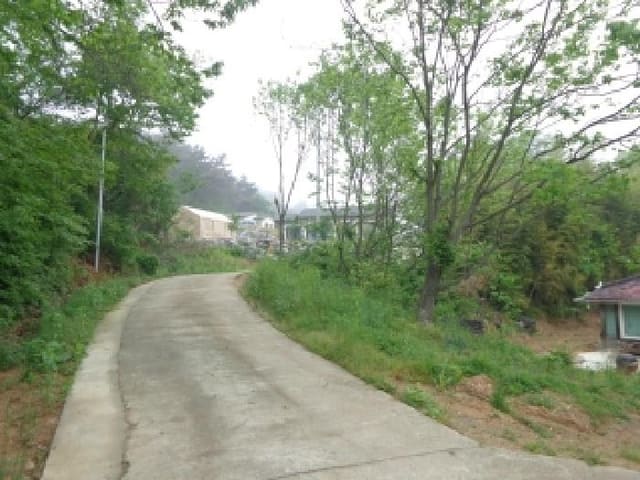 B000285202501300006381.jpg