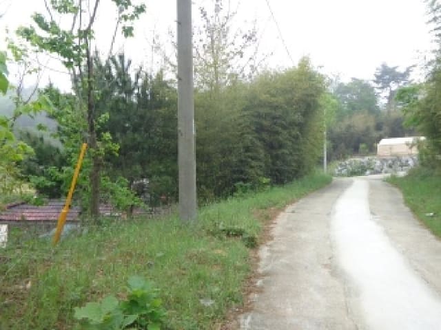 B000285202501300006383.jpg