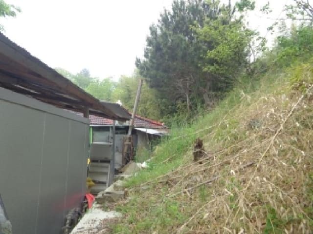 B000285202501300006384.jpg