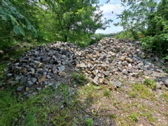 B000285202501300006404.jpg