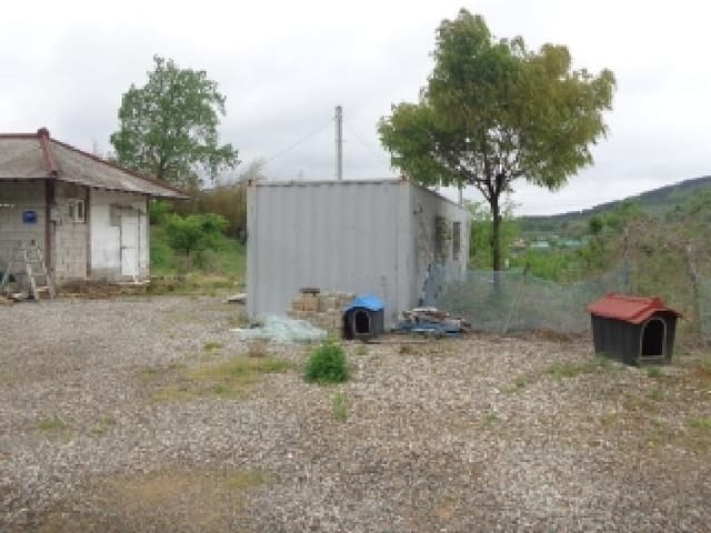 B000285202501300006464.jpg