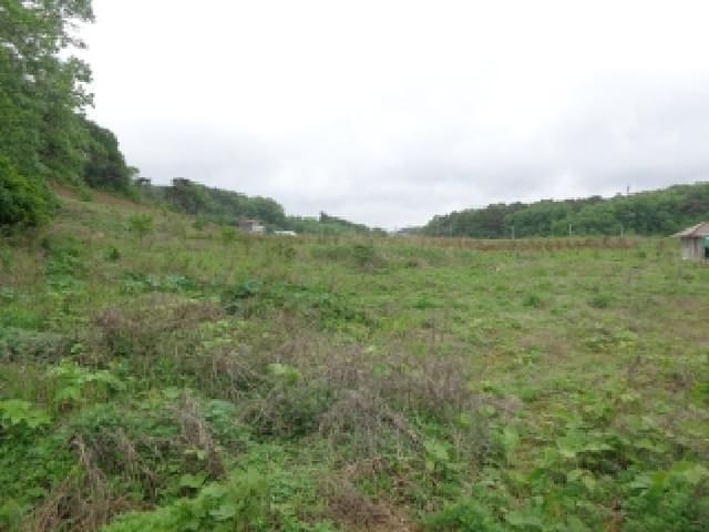 B000285202501300006463.jpg
