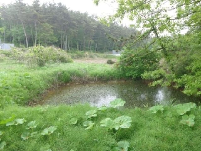 B000285202501300006473.jpg