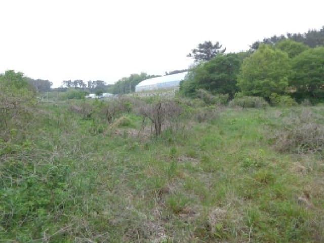 B000285202501300006471.jpg