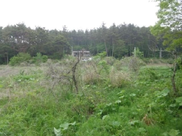 B000285202501300006472.jpg