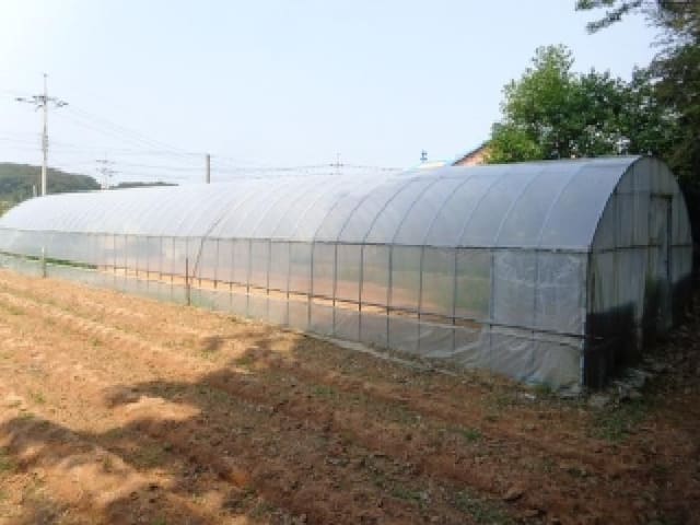 B000285202501300006563.jpg