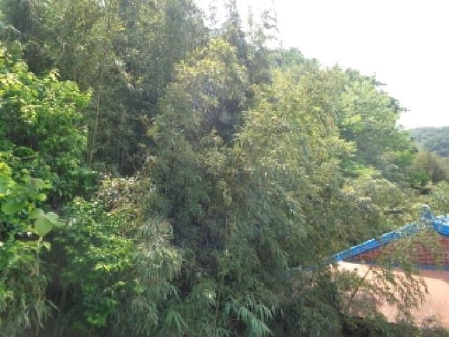 B000285202501300006562.jpg