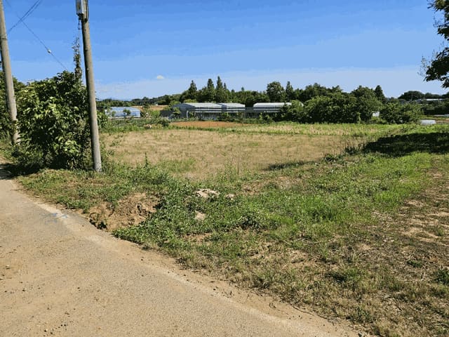 B000285202501300006579.jpg