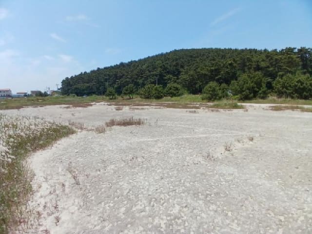 B000285202501300006651.jpg