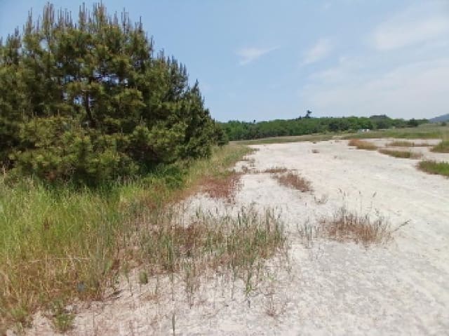 B000285202501300006654.jpg