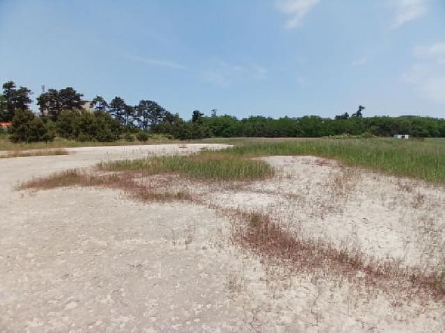 B000285202501300006652.jpg