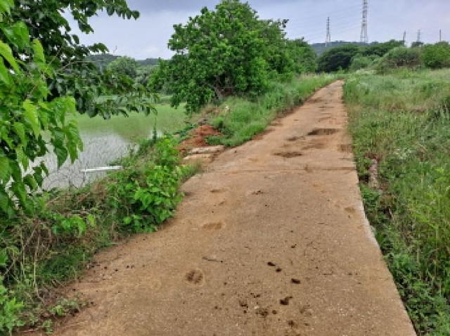 B000285202501300006781.jpg