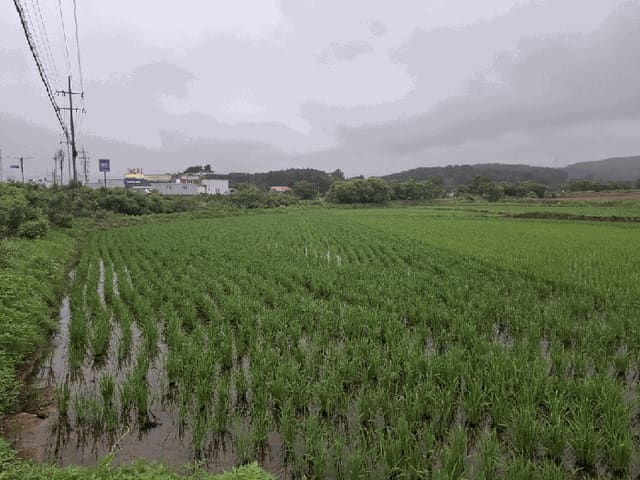 B000285202501300006853.jpg