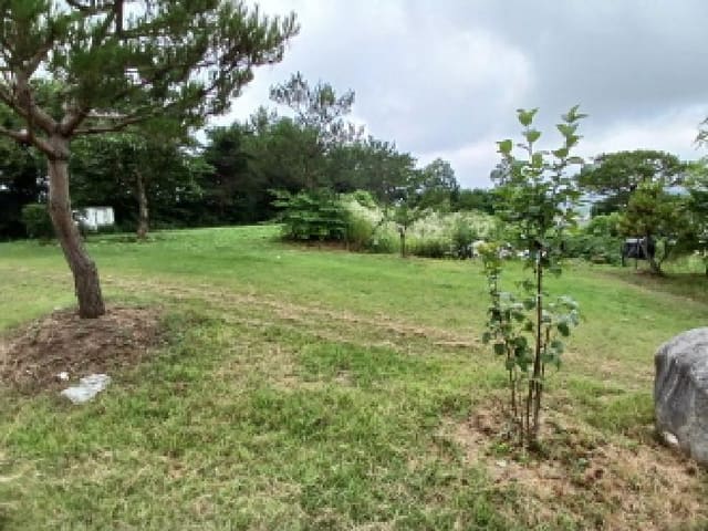B000285202501300006863.jpg