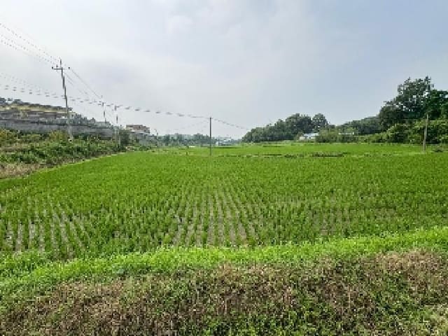 B000285202501300006914.jpg