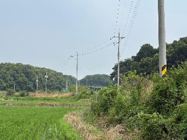 B000285202501300006913.jpg