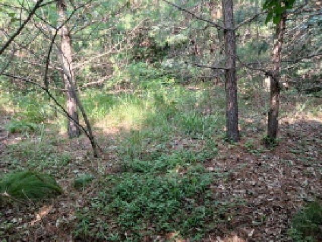 B000285202501300007027.jpg