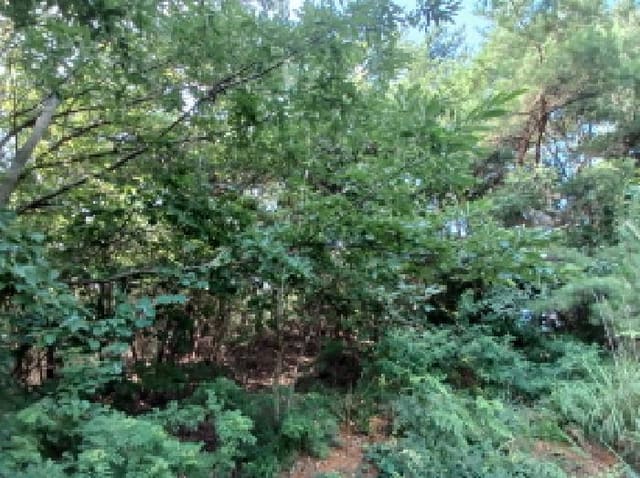 B000285202501300007028.jpg