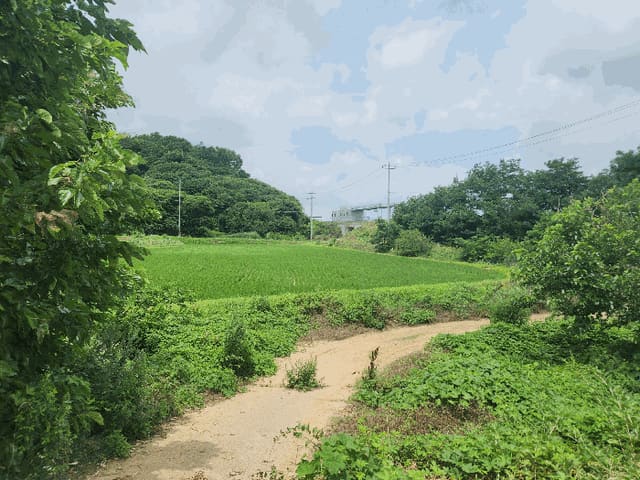 B000285202501300007047.jpg