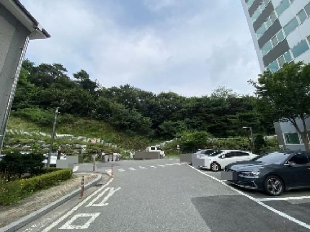 B000285202501300007272.jpg