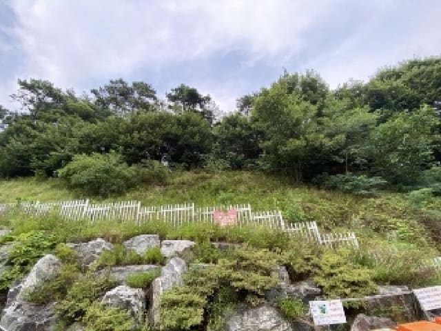 B000285202501300007271.jpg