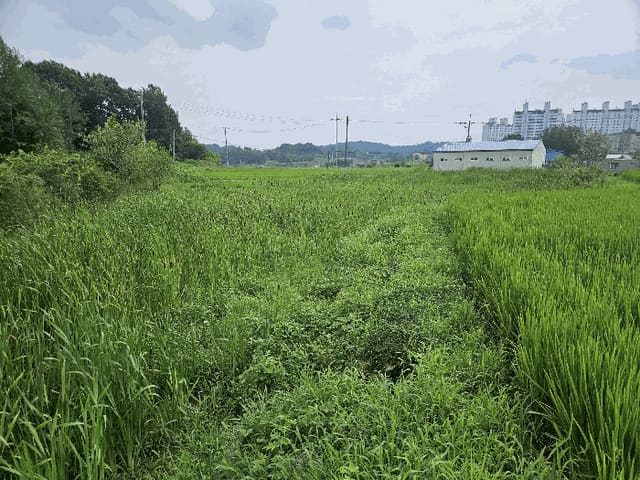B000285202501300007349.jpg