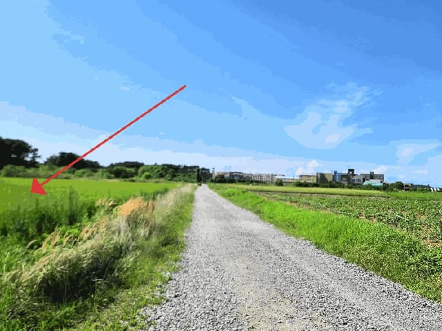B000285202501300007384.jpg