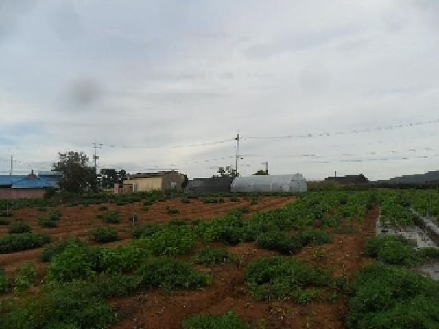B000285202501300007673.jpg