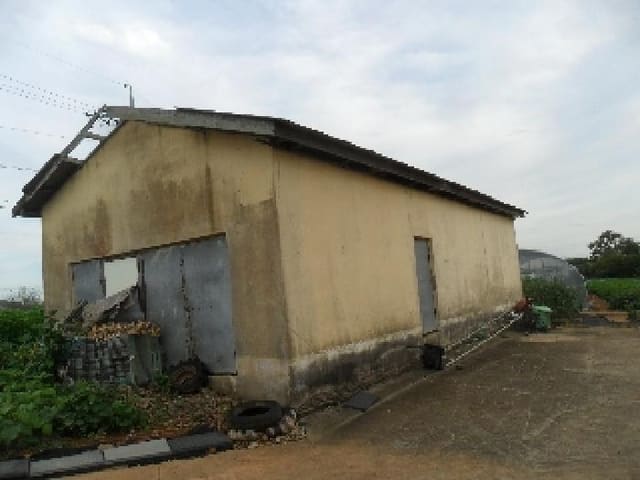 B000285202501300007674.jpg