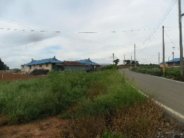 B000285202501300007671.jpg