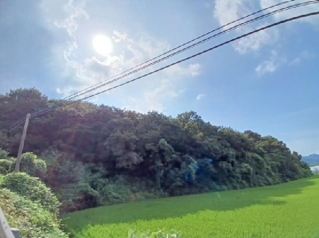 B000285202501300007691.jpg