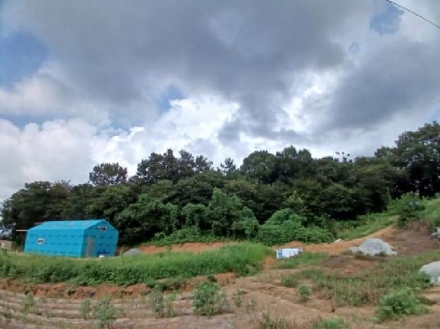 B000285202501300007693.jpg