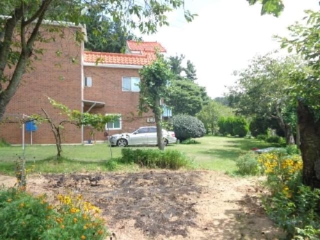 B000285202501300007744.jpg
