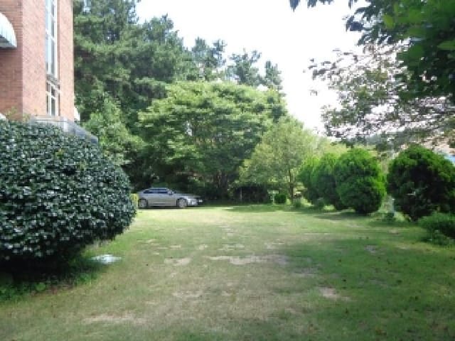 B000285202501300007743.jpg