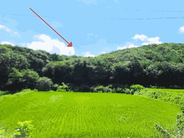 B000285202501300007794.jpg