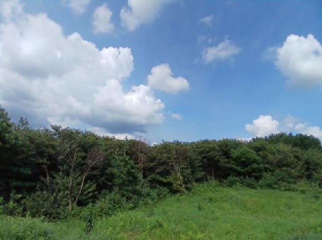 B000285202501300007791.jpg