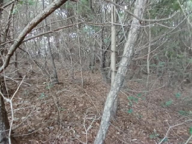 B000285202501300007792.jpg