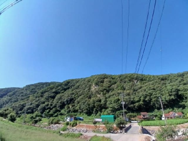 B000285202501300007882.jpg