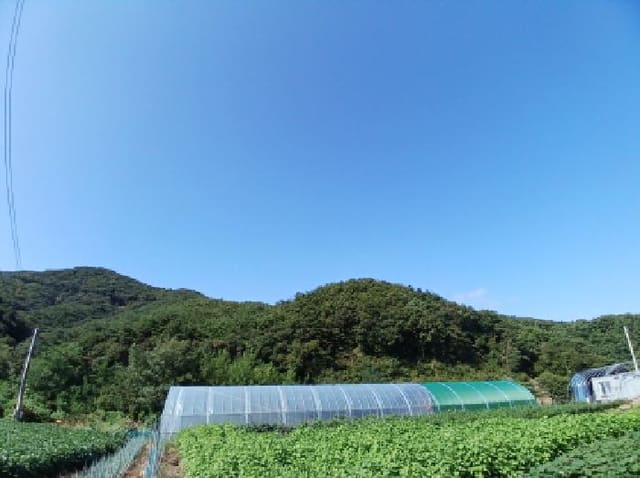 B000285202501300007881.jpg