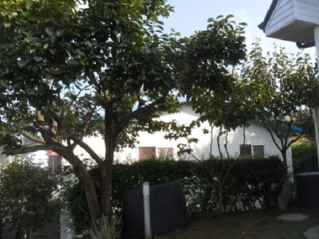 B000285202501300007923.jpg