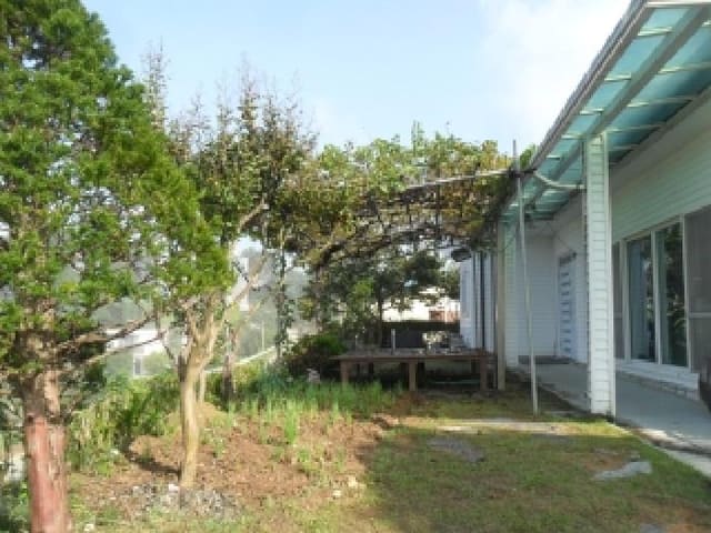 B000285202501300007922.jpg