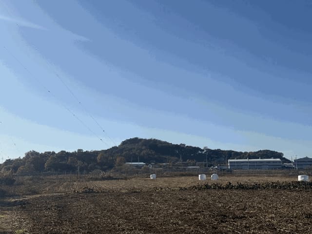 B000285202501300007944.jpg