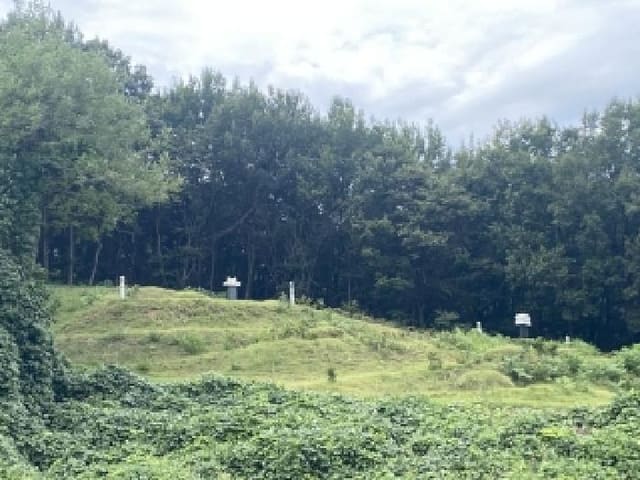 B000285202501300007991.jpg