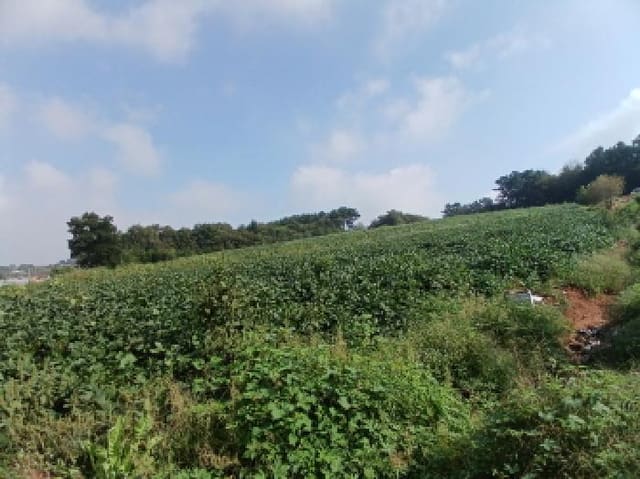 B000285202501300008081.jpg