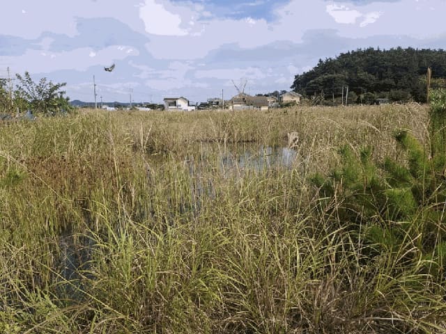 B000285202501300008183.jpg